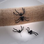 Person with punk spider earrings Australia Black color, front view, showing spider charm.