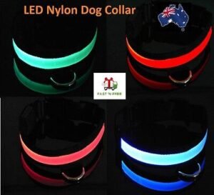 LED dog collar Australia Blue emitting, front view, showing adjustable strap.