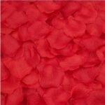 Person with rose petals Australia Red raspberry color, front view, showing silk petals.