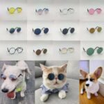 Pet sunglasses Australia Metal frame, front view, showing glass lenses.