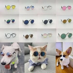 Pet sunglasses Australia Metal frame, front view, showing glass lenses.