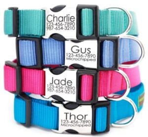 A red customised dog collar with engraved name.