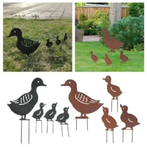 Outdoor & Garden Essentials